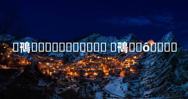 �鳵���������շ� �鳵��ô�⻮��